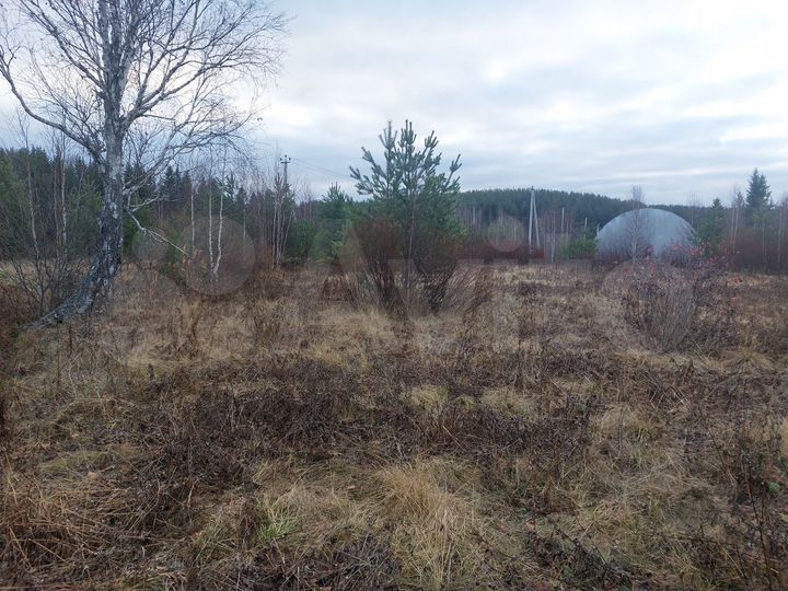 Участок 25 сот. (ИЖС)