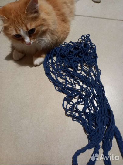 Авоська СССР