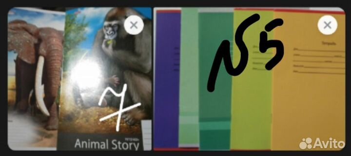 Набор тетрадей 24л