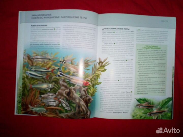 Комплект детских энциклопедий (Цена за все)