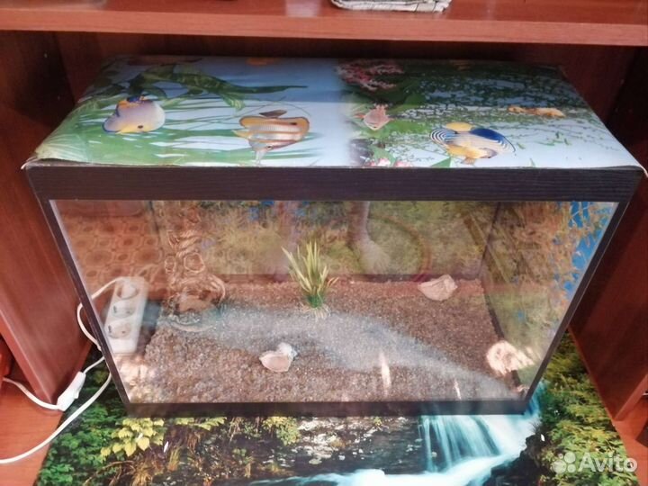 Аквариум