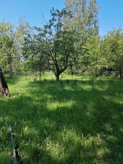 Дом 52 м² на участке 20 сот.