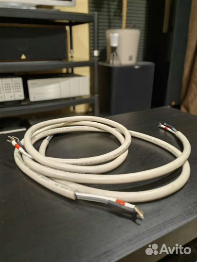 Transparent MusicWave Plus+VDH