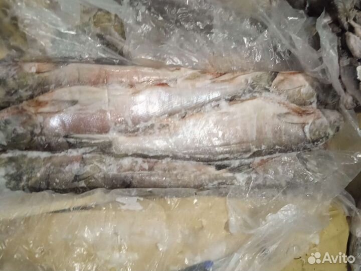 Свежемороженая рыба