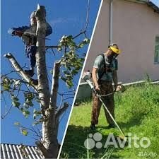 Покос травы триммером, спил деревьев