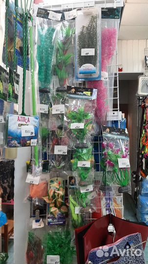 Товары для животных