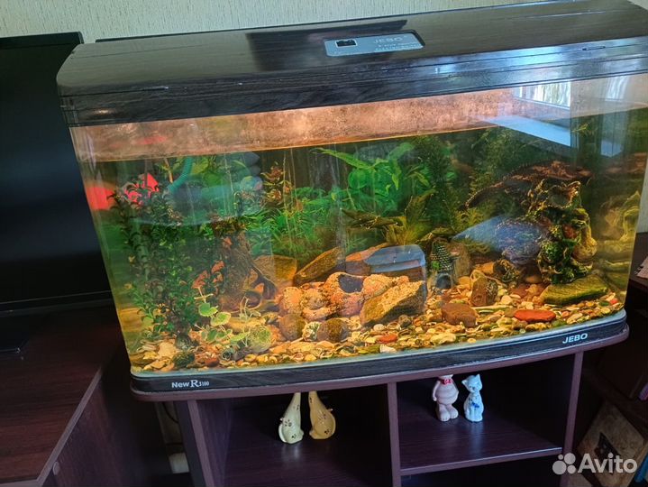 Продам аквариум Jebo R 3100