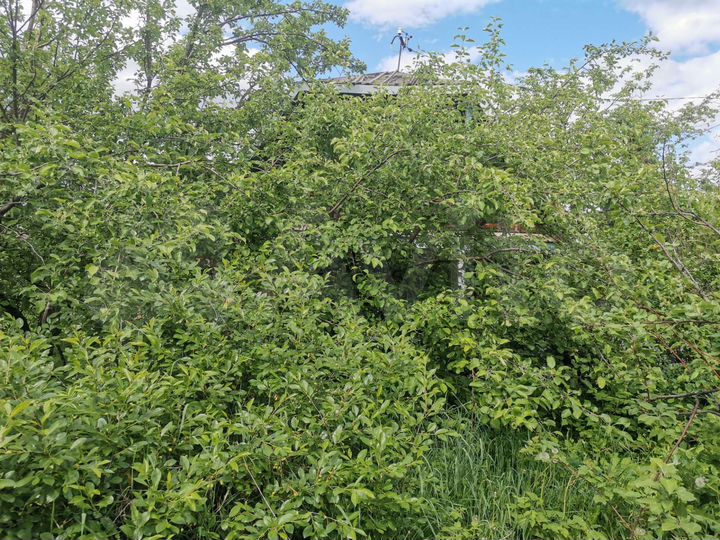 Дача 25 м² на участке 4 сот.