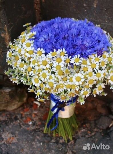 Васильки цветы букет