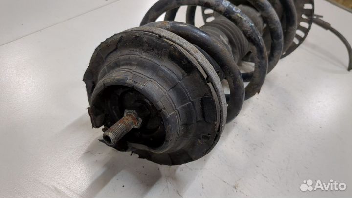 Амортизатор подвески Volkswagen Transporter 5, 2009