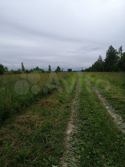 Участок 2,2 га (СНТ, ДНП)