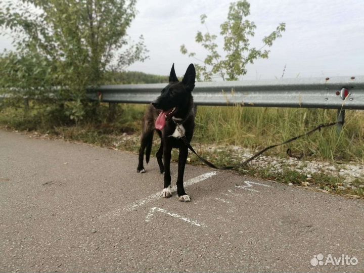 Молоденькая стерилизованная девочка