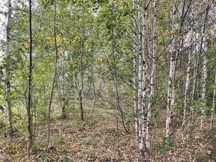 Участок 13,5 сот. (ИЖС)