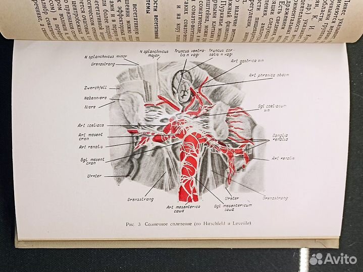 Заболевания вегетативной нервной системы. 1968