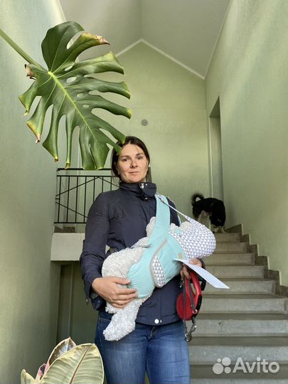 Эргорюкзак хипсит