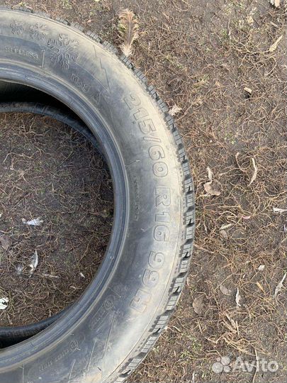 Tigar Winter 215/60 R16 99H