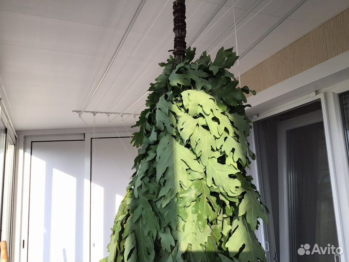 Веники банные дубовые и березовые