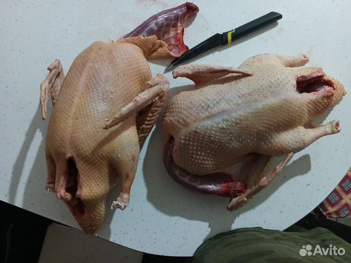 Мясо утки и яйцо куриное