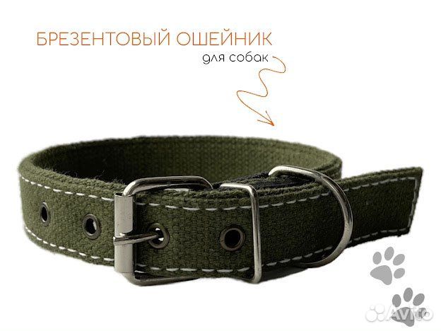 Ошейник для собак