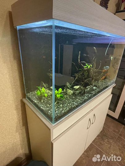 Аквариум + тумба 180л