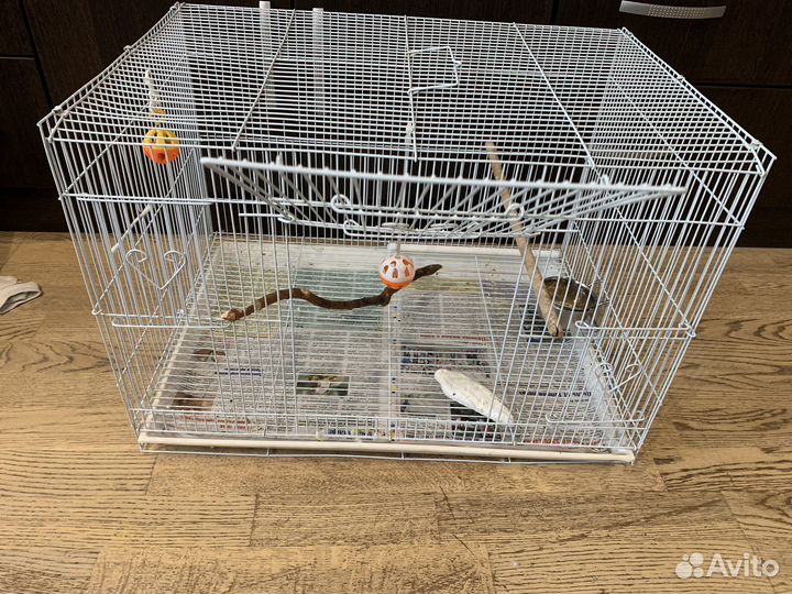 Клетка для попугая