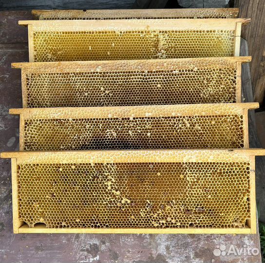 Сушь магазинная для пчел