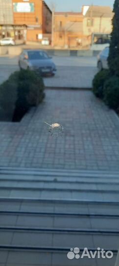 Замена стеклопакета в окне