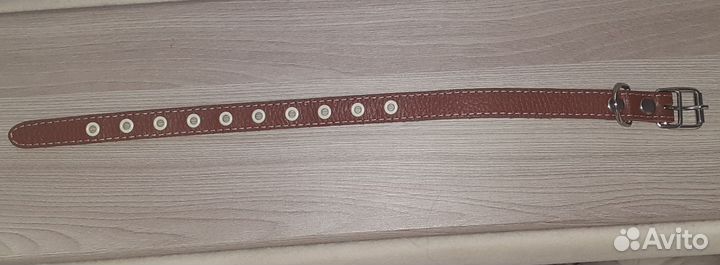 Ошейник для собак