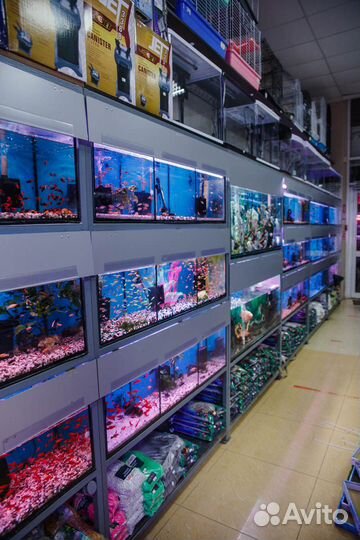 Аквариумы от 4 - 1000 литров, Рыбки и т.д