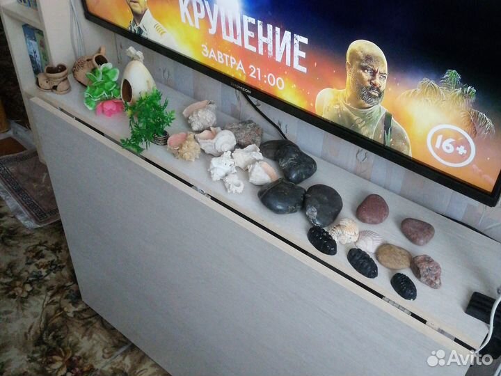 Для аквариума