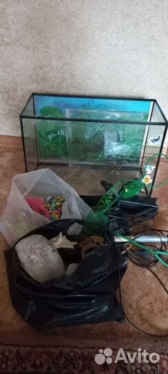 Аквариум