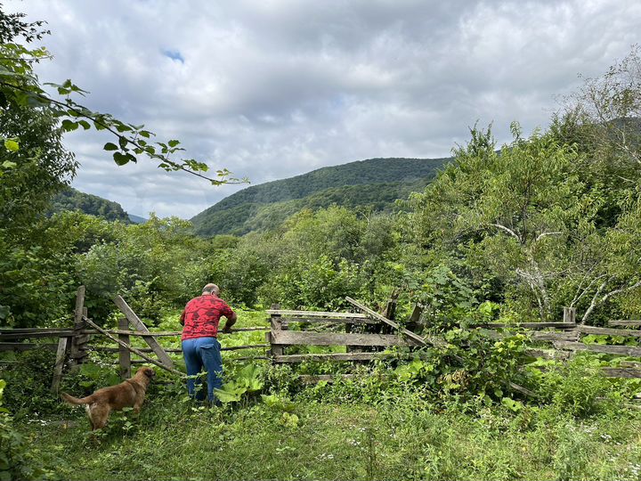 Участок 25 сот. (ИЖС)