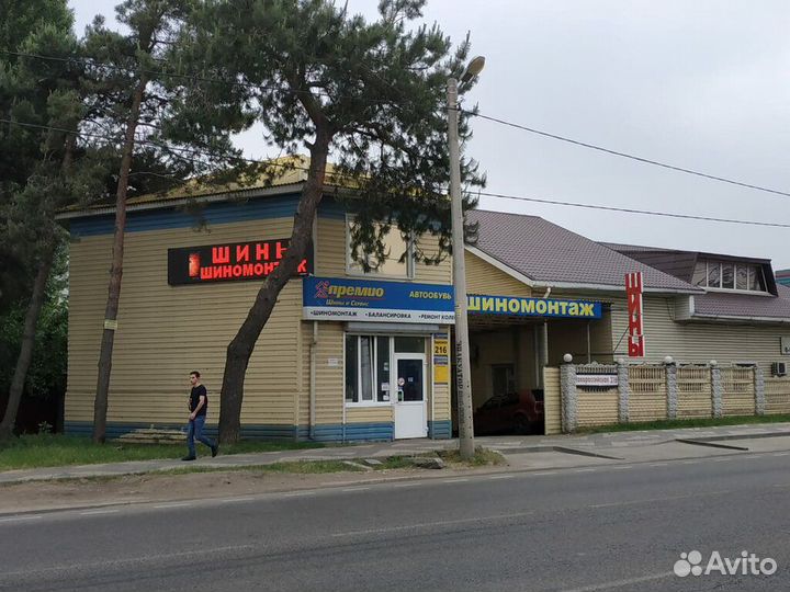 Viatti Brina V-521 195/55 R15