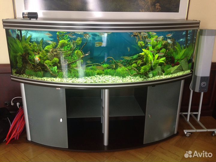 Обслуживание аквариума. Чистка аквариума