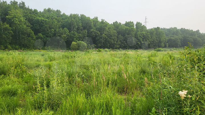 Участок 100 сот. (ИЖС)