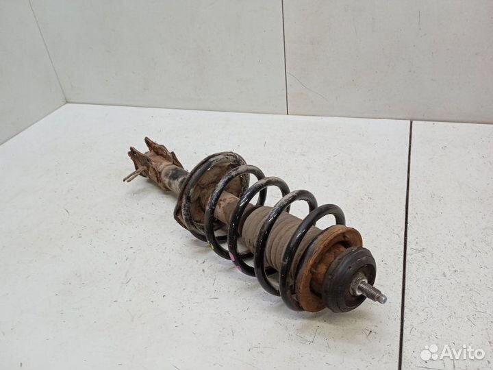 Амортизатор передний правый Chevrolet Aveo T250