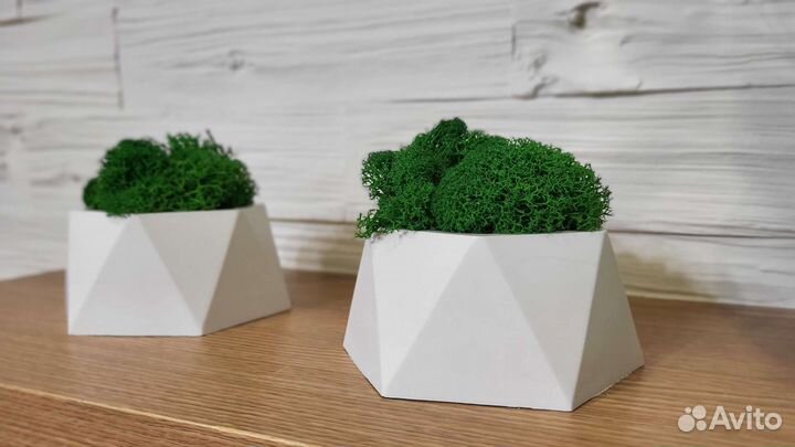 Набор 2 кашпо со стабилизированным мхом
