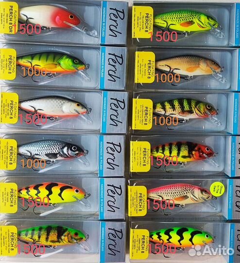 Salmo perch 8F-GS/GT/RH