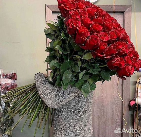 101 роза цветы букеты доставка 25 51 101 роза