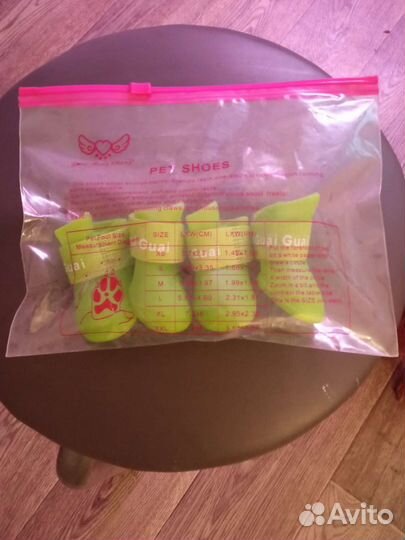 Домашние животные собаки