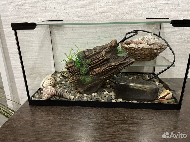 Аквариум