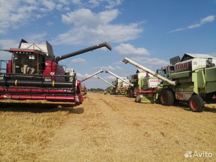 Услуги по уборке урожая