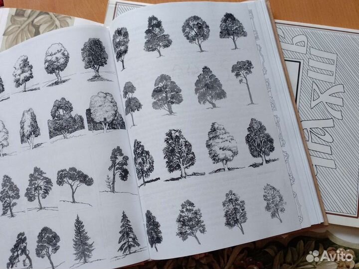 Акварель о которой молчат