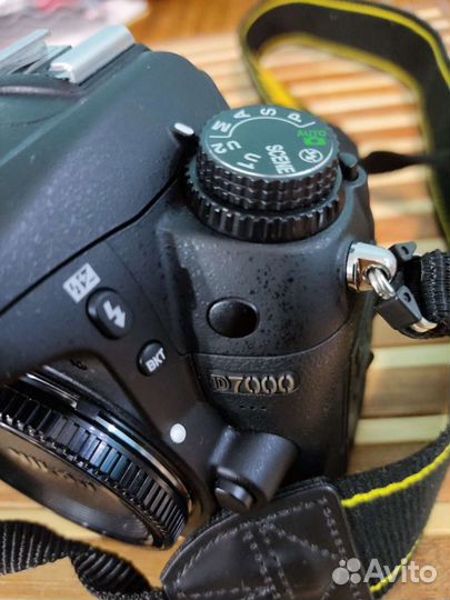 Зеркальный фотоаппарат Nikon d7000