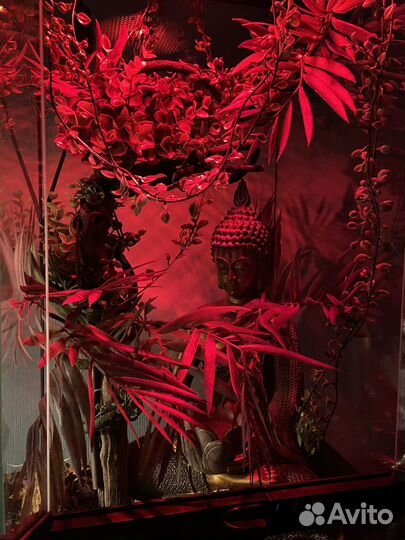 Готовые террариумы-хабитаты