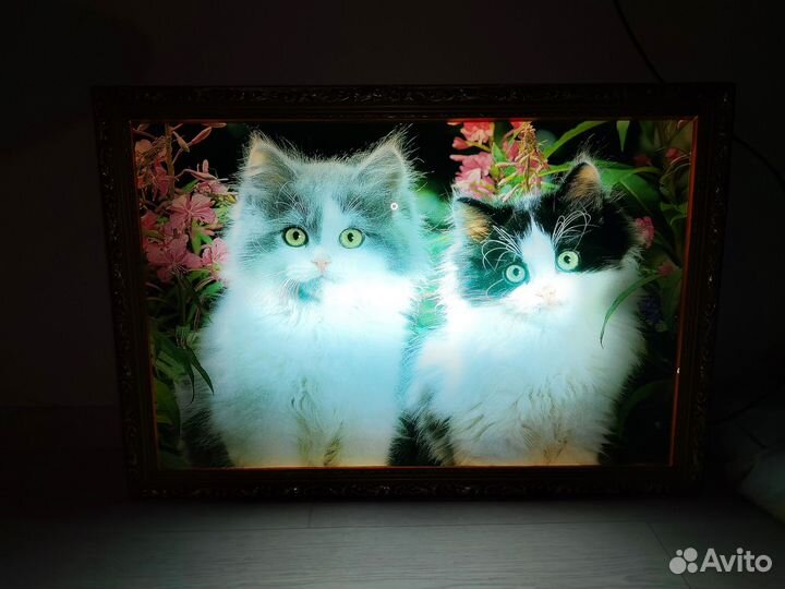 Картина с подсветкой два котенка