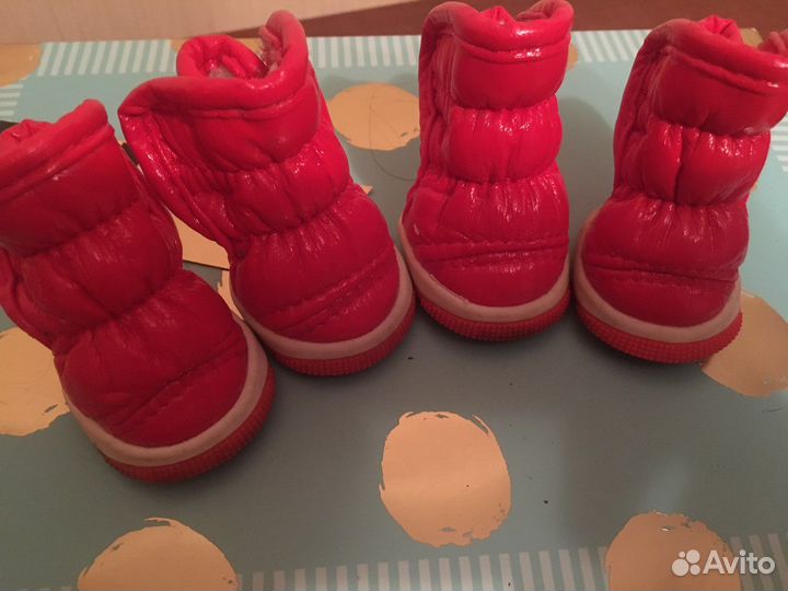 Обувь для собак