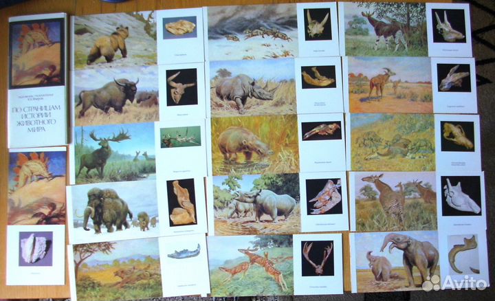 Открытки животных,пресмыкающихся,рыб и бабочек