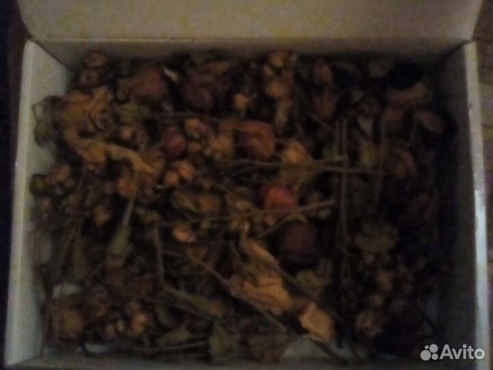 Сухие цветы