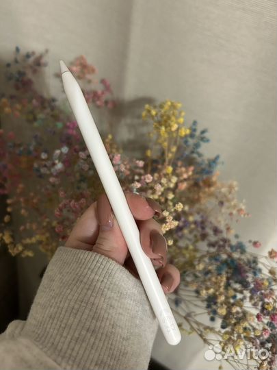 Apple pencil 2